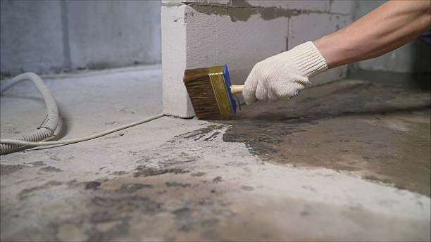 24/7 Emergency Exterior Waterproofing experts in Tustin, MI